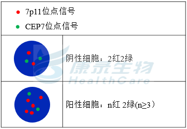 7p探针试剂（原位杂交法）-武汉康录生物技术股份有限公司